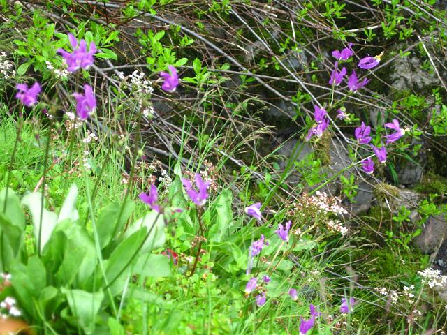 Eagle Creek-143.JPG - Eagle Creek